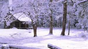 Solixon domla |√ Масжитдаги бу шармандали угирлик Masjitdagi o'g'ri oramizda dur balkim