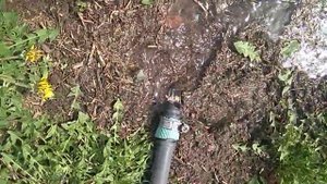 Слив воды шлангом #сливводы #слитьводу #водашлангом #поливбезнасоса