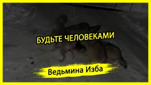 БУДЬТЕ ЧЕЛОВЕКАМИ. #ВЕДЬМИНАИЗБА ▶️ #МАГИЯ