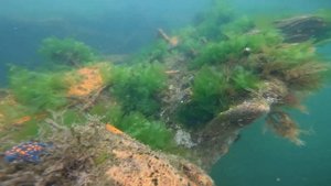 Затонувший корабль под водой part 3