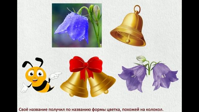 Видеоролик