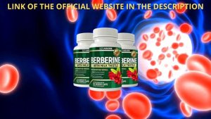 Berberine Supplement – ((BE CAREFUL )) - Berberine Review - Berberine – Berberine Blood Sugar