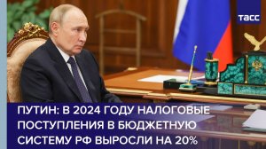 Путин: в 2024 году налоговые поступления в бюджетную систему РФ выросли на 20%