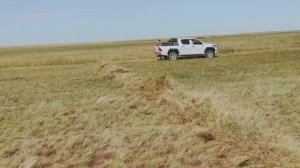 СЕНОКОС 2024 начало! Как косят траву, как прессуют сено в рулоны