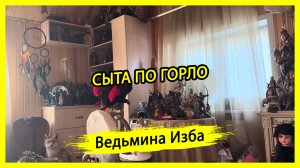 СЫТА ПО ГОРЛО. #ВЕДЬМИНАИЗБА ▶️ #МАГИЯ