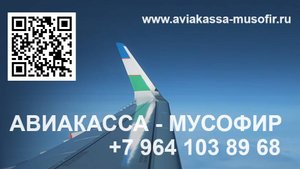 АВИАКАССА - МУСОФИР