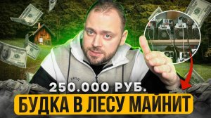 Эта будка в Лесу Майнит 250.000 руб