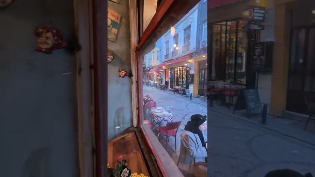 Amazing Cat cafe “Naftalin” 2024 смотреть онлайн