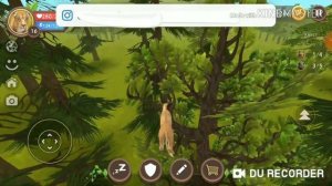 Как летать в Вилд Крафт обнове