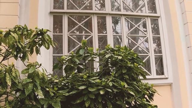 Дача Барсовой Сочи