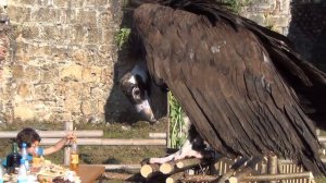 Лыхны. Абхазия