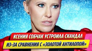 Новости Шоу-Бизнеса ★ Собчак устроила скандал из-за сравнения с «золотой антилопой»