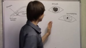 Базисная фармакология холиномиметиков Часть 2