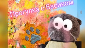 Осенняя прогулка с Басиком