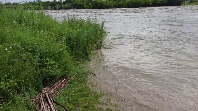 Коломия р. Прут смотреть онлайн