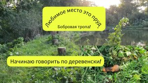 7.09.2023 Не дают работать!😔Сказал что не пройду!😳Поджёг,запалил ботву!🌾Крупный экземпляр!🥕