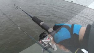 БОМБАРДА РУЛИТ!