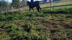 Саша учится кататься на лошади