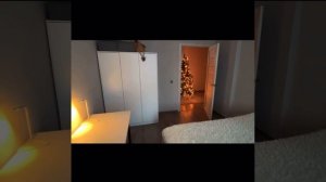 VID-20241112-WA0001.mp4