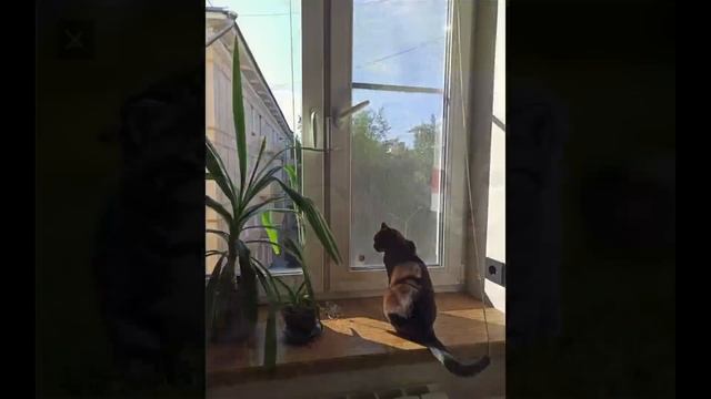 знакомство