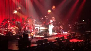 NICK CAVE performs Henry Lee / Nick Cave and the Bad Seeds live in Cologne 2022