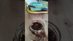 ТАБАК ДЛЯ КАЛЬЯНА БЕЗ ВАРКИ в глицерине