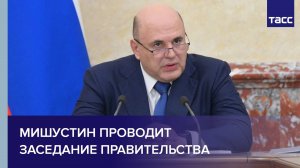 Мишустин проводит заседание правительства