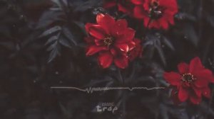 FG - KOKAINA (feat Linda Bajrami)