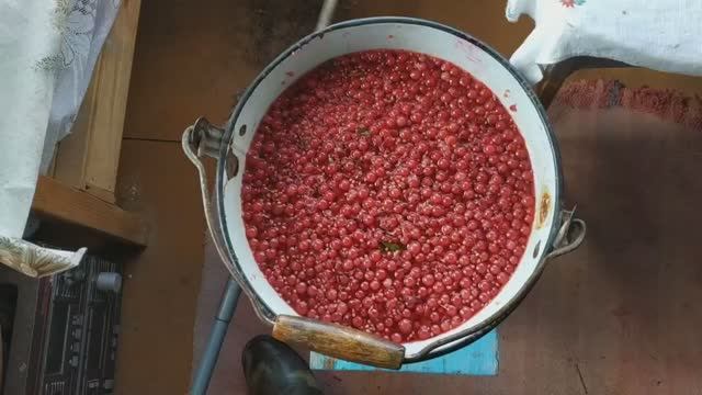 Вино из Красной смородины в домашних условиях.
