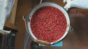 Вино из Красной смородины в домашних условиях.
