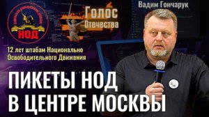 Пикеты в центре Москвы - Вадим Гончарук (12 лет штабам НОД)