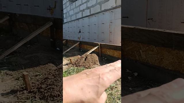 Как сделать отмостку дома своими руками...))