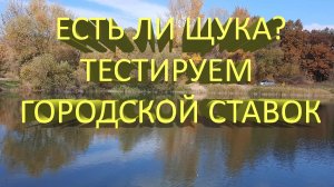 🔥 ГДЕ ТУТ ЩУКА? Тест городского ставка воблерами Zip Bates Orbit 80 Rigge 56 Megabass Oneten 98 🔥