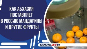 В РОССИЮ ВВЕЗЕНО УЖЕ 7 ТЫСЯЧ ТОНН СЕЛЬХОЗПРОДУКЦИЯ ИЗ АБХАЗИИ