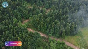 EŞİMLE BİRLİKTE KTM 390 ADV ÜSTÜNDE ULUDAĞ'a OFFROAD