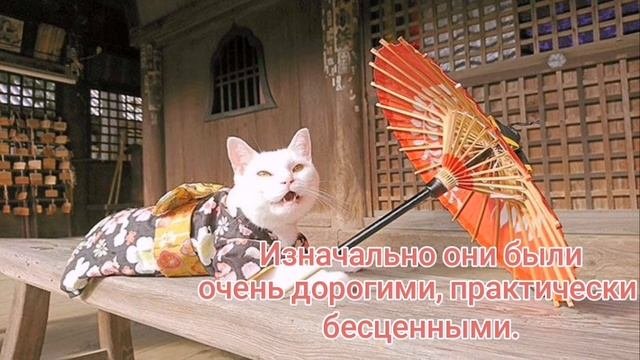 История кошек