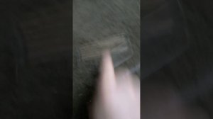 Лучшая щетка для удаления шерсти - идеальная для чистки ковров и паласов.
