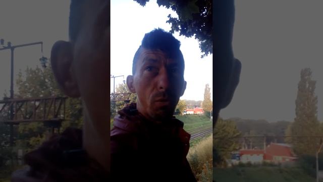 шакалы
