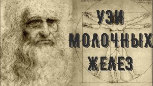 КАК ВЫГЛЯДЕТ РАК НА УЗИ  МУСТАФИН ЧИНГИС КУРС МАММОЛОГИИ 79104653497