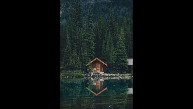 Пение соловья и лесных птиц активизация всех систем организма смотреть онлайн