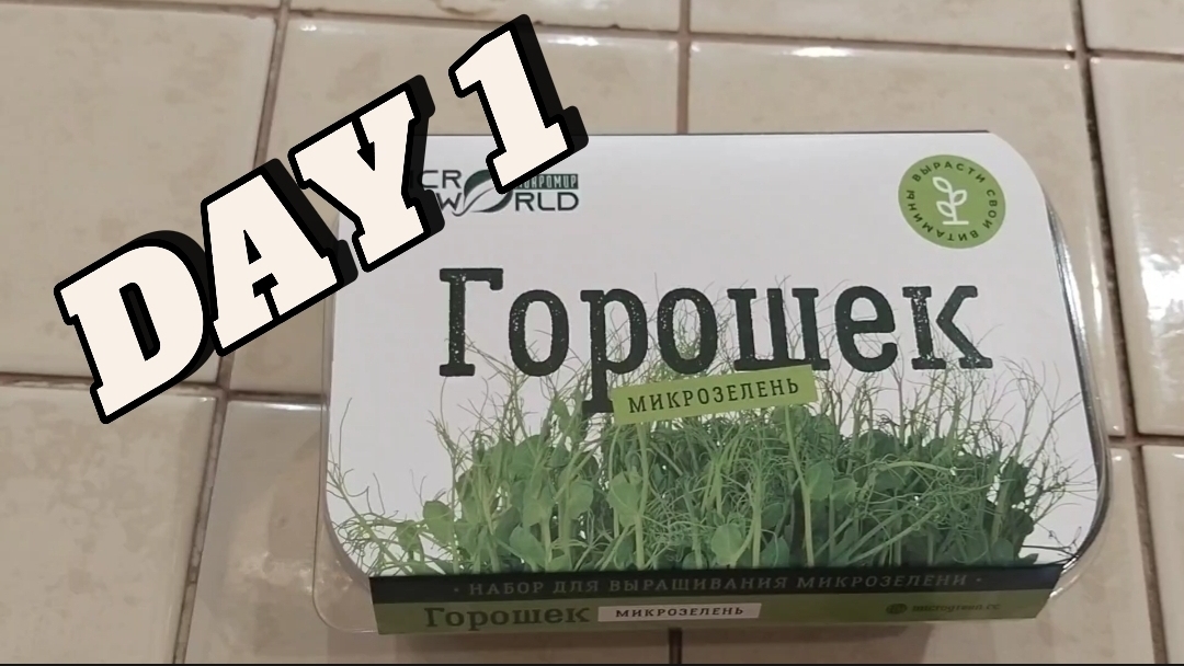 горошек