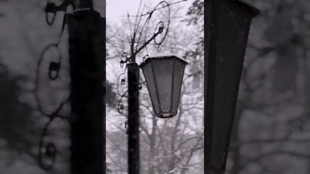 Погода не помеха для знаний!