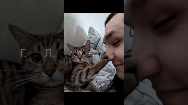 глаза чико #кошка #глазамидуши