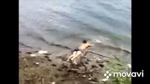 Неудачные падения в воду