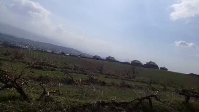 Рохати калон#2020. НАВТОКХО. #АРЭНДАХО #БОГХОИ ТОК смотреть онлайн