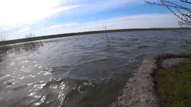 Она вернулась спустя 4 месяца. Кум завез в лес. смотреть онлайн