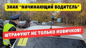 За езду без наклейки "Начинающий водитель" штрафуют не только новичков