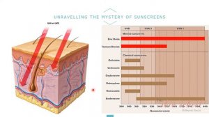 RSA Skin School - Understanding Ageing (Lesson 2)