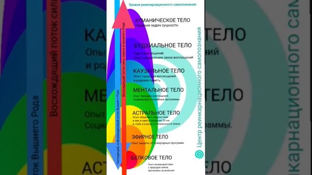 Что такое Реинкарнационное Самопознание? Наталья Владимировна Бехтерева.