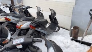 Сколько стоят скутеры! В 2024 году! контейнер из Японии! Обзор цен!